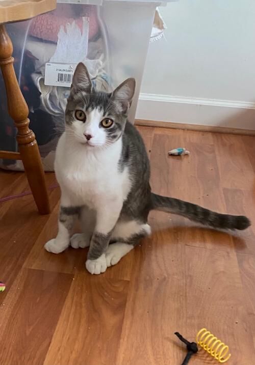 2) Mishu.jpg